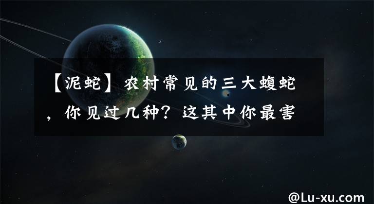 【泥蛇】农村常见的三大蝮蛇，你见过几种？这其中你最害怕谁？