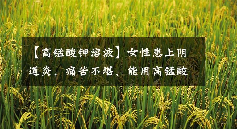 【高锰酸钾溶液】女性患上阴道炎,痛苦不堪,能用高锰酸钾溶液冲洗预防感染吗?