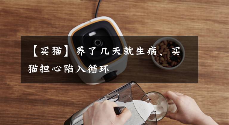【买猫】养了几天就生病,买猫担心陷入循环
