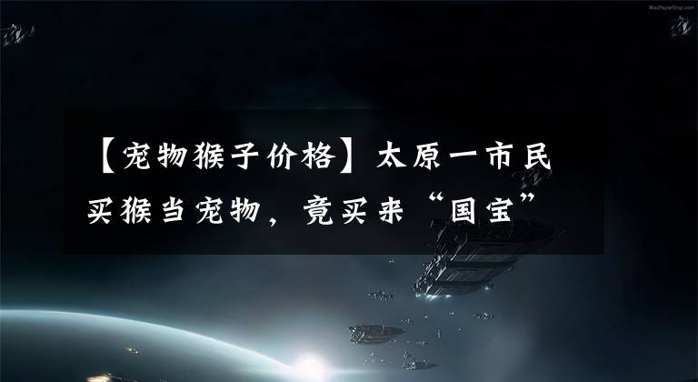 【宠物猴子价格】太原一市民买猴当宠物，竟买来“国宝”级猕猴