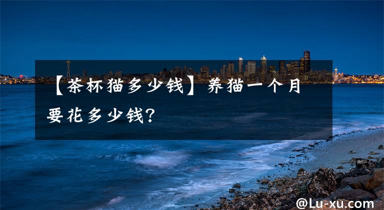 【茶杯猫多少钱】养猫一个月要花多少钱？