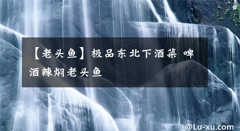 【老头鱼】极品东北下酒菜 啤酒辣焖老头鱼