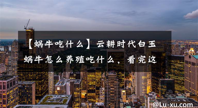 【蜗牛吃什么】云耕时代白玉蜗牛怎么养殖吃什么,看完这些你就明白了