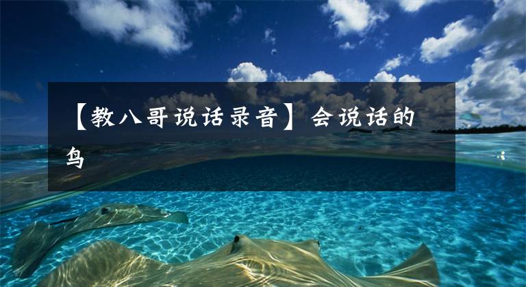 【教八哥说话录音】会说话的鸟