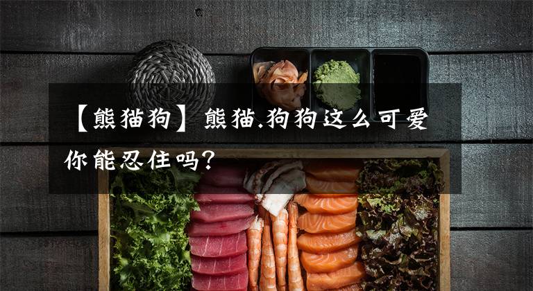 【熊猫狗】熊猫.狗狗这么可爱你能忍住吗？