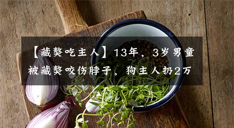 【藏獒吃主人】13年，3岁男童被藏獒咬伤脖子，狗主人扔2万元玩消失，孩子怎样了