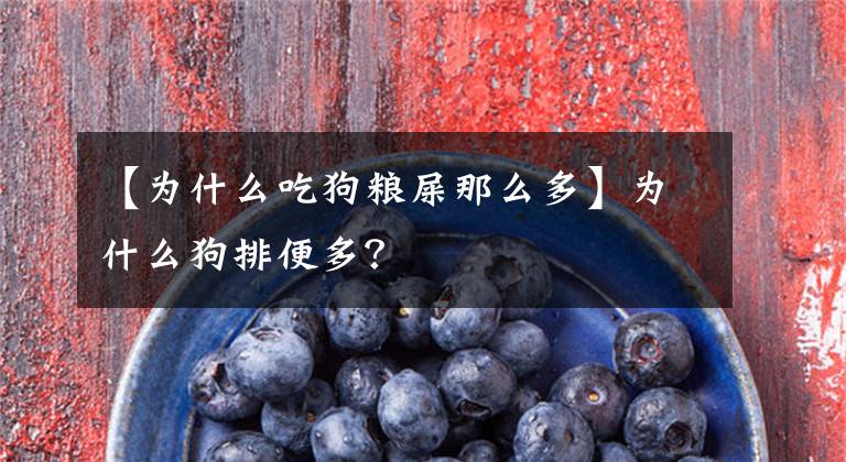 【为什么吃狗粮屎那么多】为什么狗排便多？