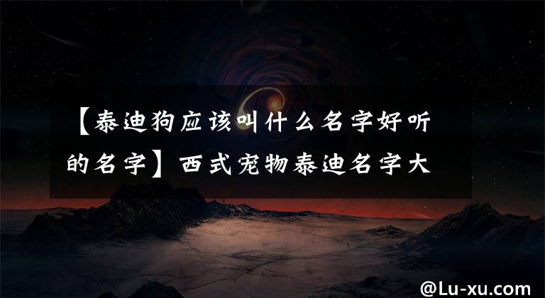 【泰迪狗应该叫什么名字好听的名字】西式宠物泰迪名字大全是小卷发-可爱的一点