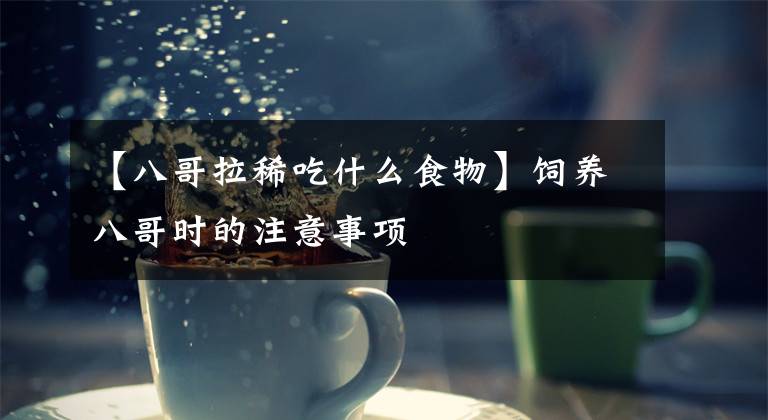 【八哥拉稀吃什么食物】饲养八哥时的注意事项