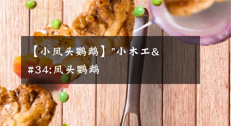 【小凤头鹦鹉】"小木工"凤头鹦鹉