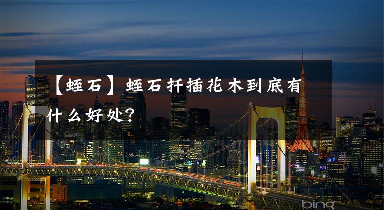 【蛭石】蛭石扦插花木到底有什么好处？