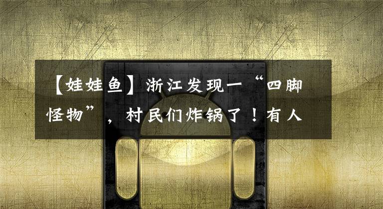 【娃娃鱼】浙江发现一“四脚怪物”,村民们炸锅了!有人想花高价买下它