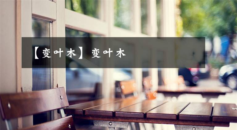 【变叶木】变叶木