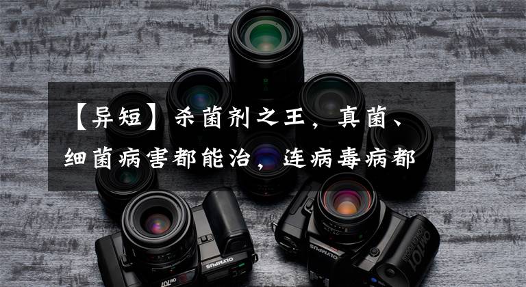 【异短】杀菌剂之王,真菌、细菌病害都能治,连病毒病都有效,农民要知道