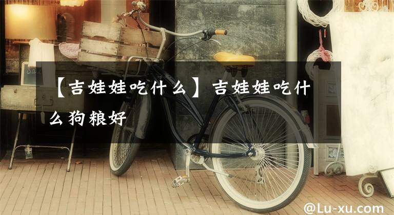 【吉娃娃吃什么】吉娃娃吃什么狗粮好