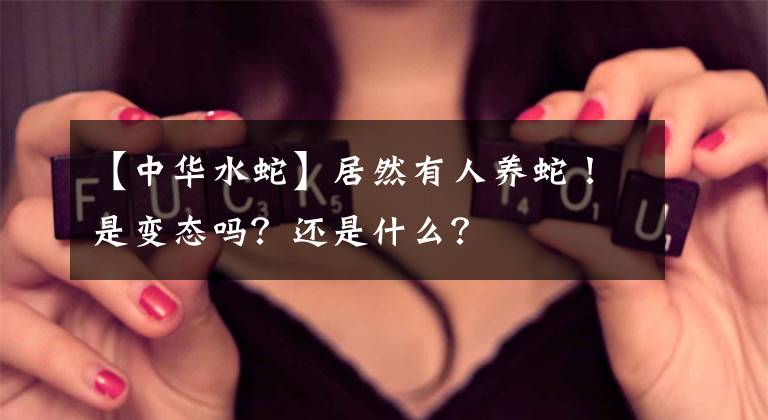 【中华水蛇】居然有人养蛇！是变态吗？还是什么？