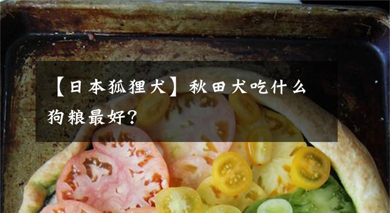 【日本狐狸犬】秋田犬吃什么狗粮最好？