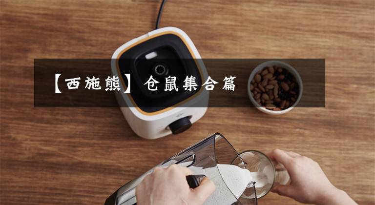 【西施熊】仓鼠集合篇