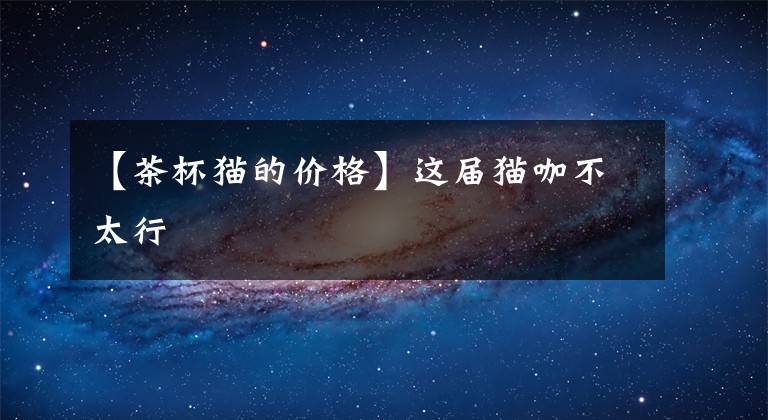 【茶杯猫的价格】这届猫咖不太行