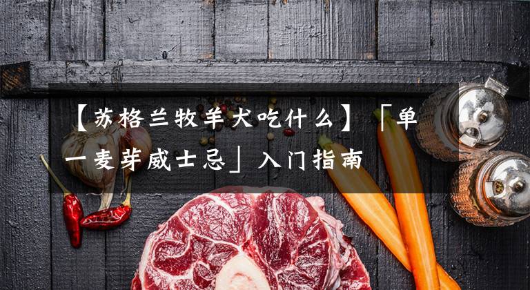 【苏格兰牧羊犬吃什么】「单一麦芽威士忌」入门指南