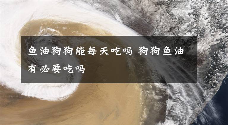 鱼油狗狗能每天吃吗 狗狗鱼油有必要吃吗