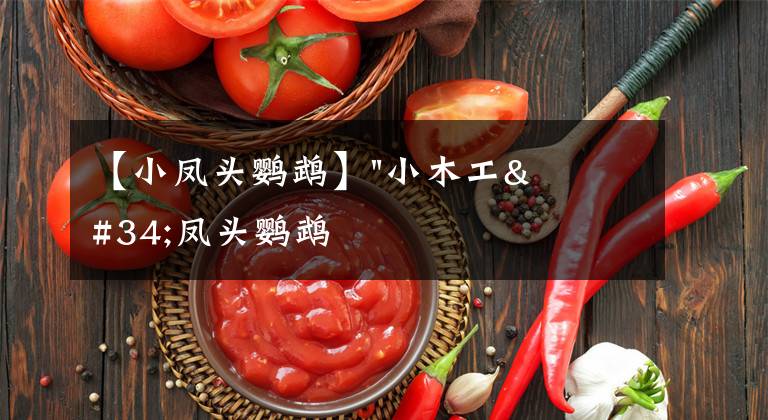 【小凤头鹦鹉】"小木工"凤头鹦鹉