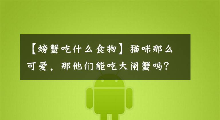 【螃蟹吃什么食物】猫咪那么可爱，那他们能吃大闸蟹吗？