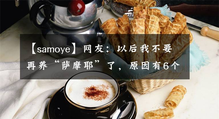 【samoye】网友：以后我不要再养“萨摩耶”了，原因有6个