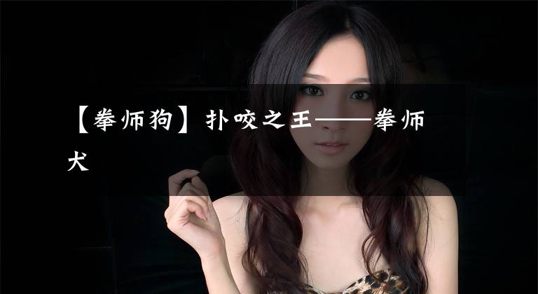 【拳师狗】扑咬之王——拳师犬