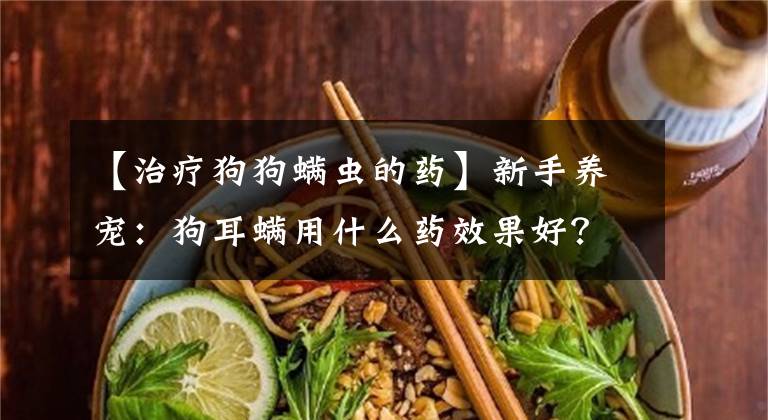 【治疗狗狗螨虫的药】新手养宠：狗耳螨用什么药效果好？处理耳螨的三个步骤参考