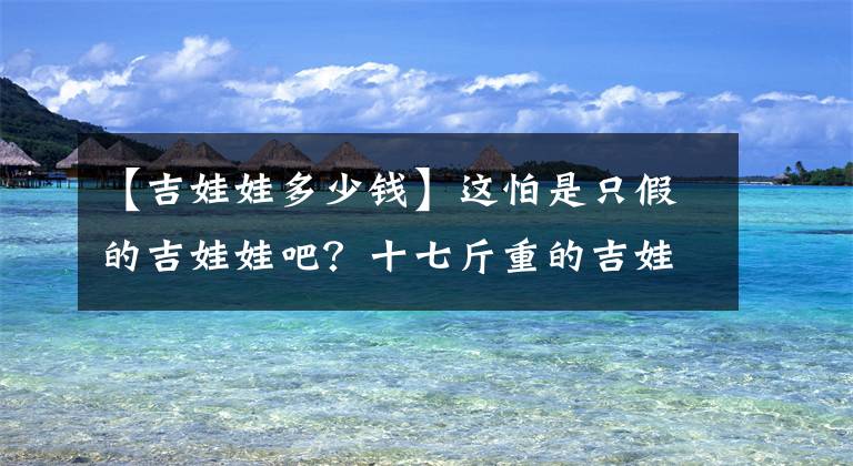 【吉娃娃多少钱】这怕是只假的吉娃娃吧？十七斤重的吉娃娃，看起来就像是只比特犬