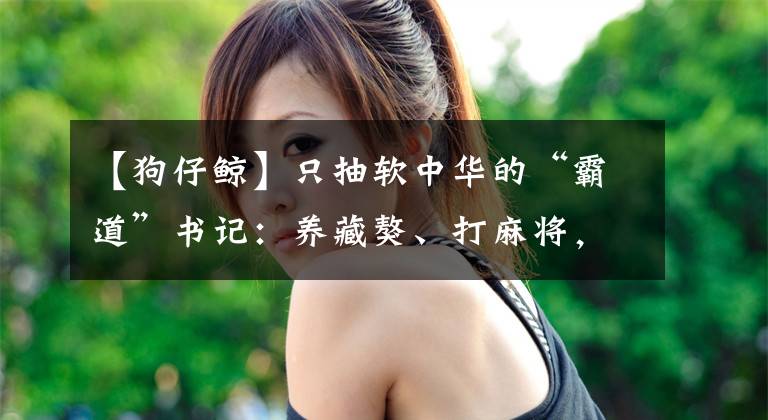 【狗仔鲸】只抽软中华的“霸道”书记:养藏獒、打麻将,上不了麻将桌的干部送狗粮