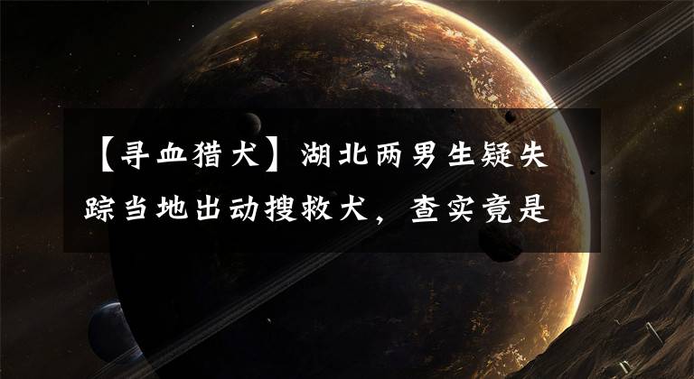 【寻血猎犬】湖北两男生疑失踪当地出动搜救犬，查实竟是躲屋顶5天打游戏