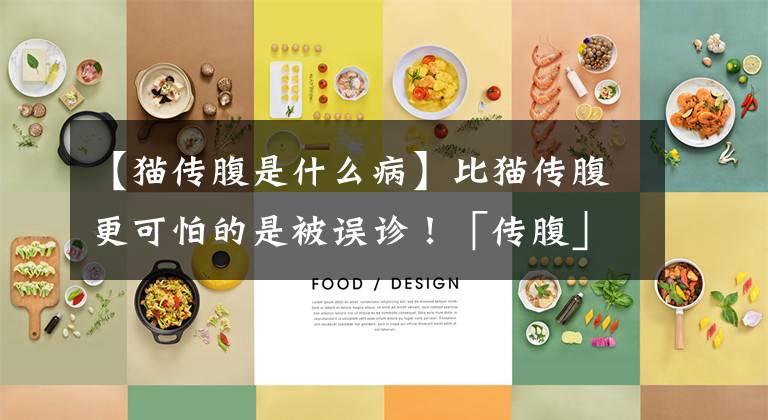 【猫传腹是什么病】比猫传腹更可怕的是被误诊!「传腹」and「腹水」你分清了吗?