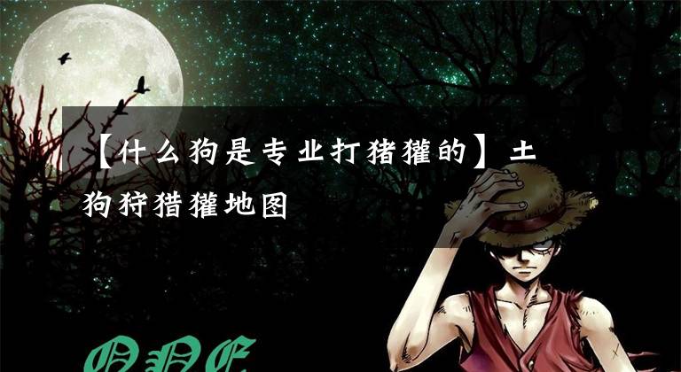 【什么狗是专业打猪獾的】土狗狩猎獾地图