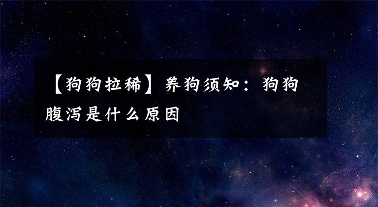 【狗狗拉稀】养狗须知：狗狗腹泻是什么原因