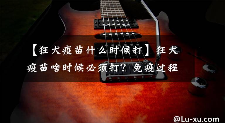 【狂犬疫苗什么时候打】狂犬疫苗啥时候必须打？免疫过程如何？哪些人又禁忌？