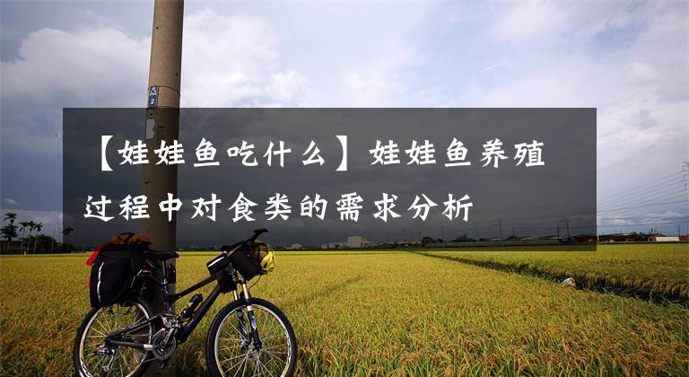 【娃娃鱼吃什么】娃娃鱼养殖过程中对食类的需求分析
