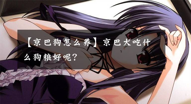 【京巴狗怎么养】京巴犬吃什么狗粮好呢?