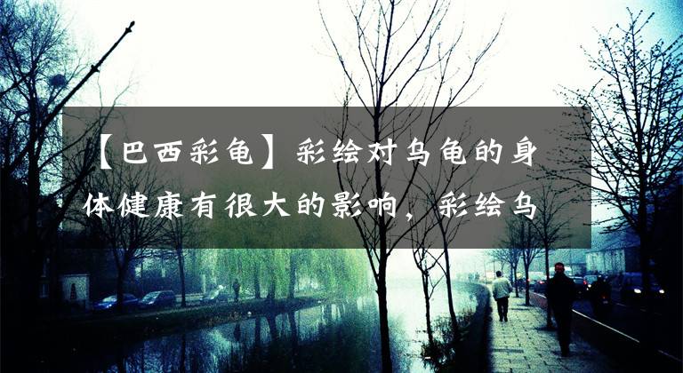 【巴西彩龟】彩绘对乌龟的身体健康有很大的影响，彩绘乌龟能养活嘛