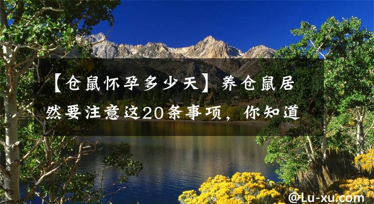 【仓鼠怀孕多少天】养仓鼠居然要注意这20条事项，你知道吗？