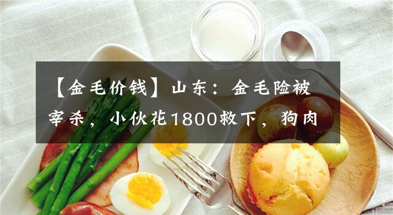 【金毛价钱】山东：金毛险被宰杀，小伙花1800救下，狗肉馆：进去怕你们受不了