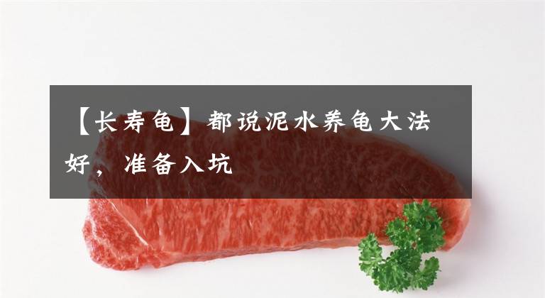 【长寿龟】都说泥水养龟大法好，准备入坑