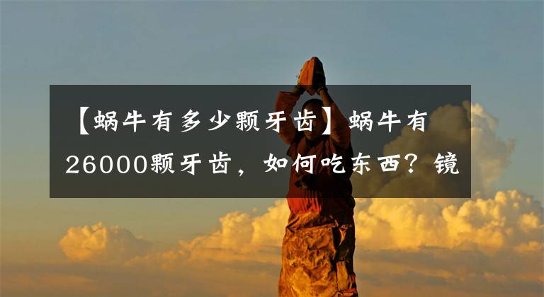 【蜗牛有多少颗牙齿】蜗牛有26000颗牙齿，如何吃东西？镜头放大100倍