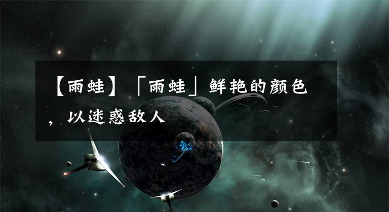 【雨蛙】「雨蛙」鲜艳的颜色,以迷惑敌人