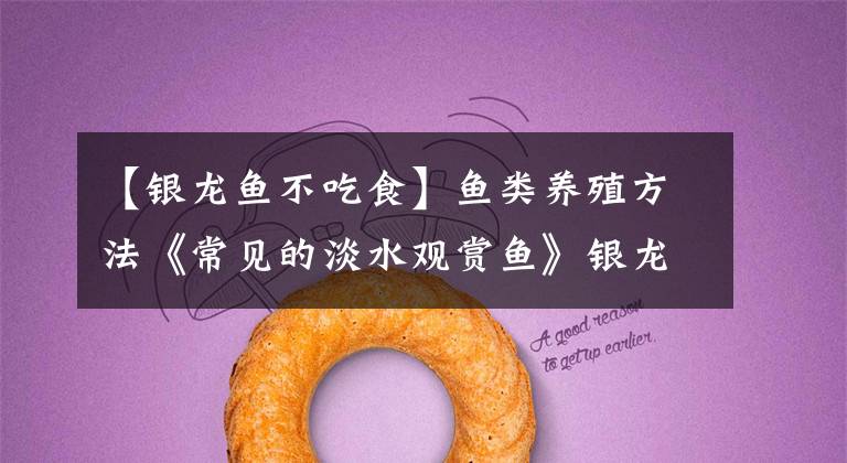 【银龙鱼不吃食】鱼类养殖方法《常见的淡水观赏鱼》银龙鱼