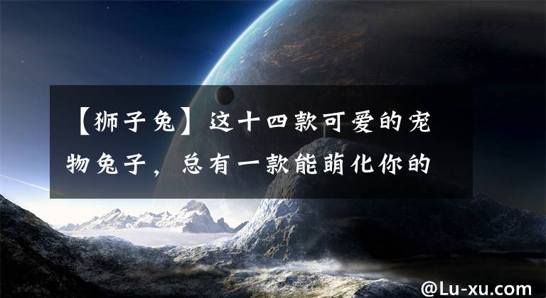 【狮子兔】这十四款可爱的宠物兔子，总有一款能萌化你的心