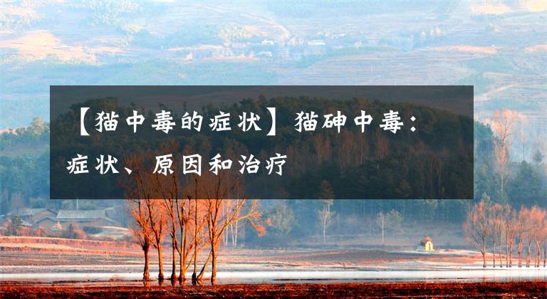 【猫中毒的症状】猫砷中毒：症状、原因和治疗