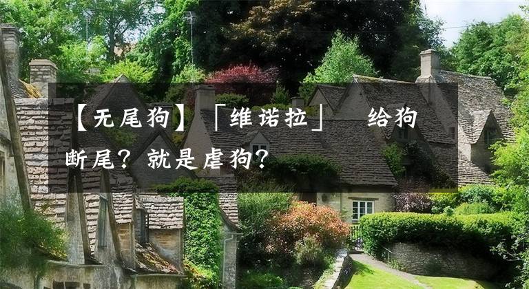 【无尾狗】「维诺拉」​给狗断尾？就是虐狗？