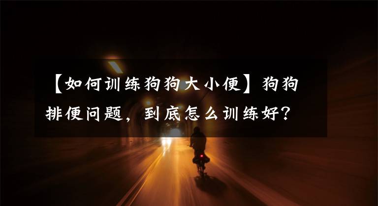 【如何训练狗狗大小便】狗狗排便问题，到底怎么训练好？超简单详细的方法在这里